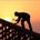 Baxromjon Toirov